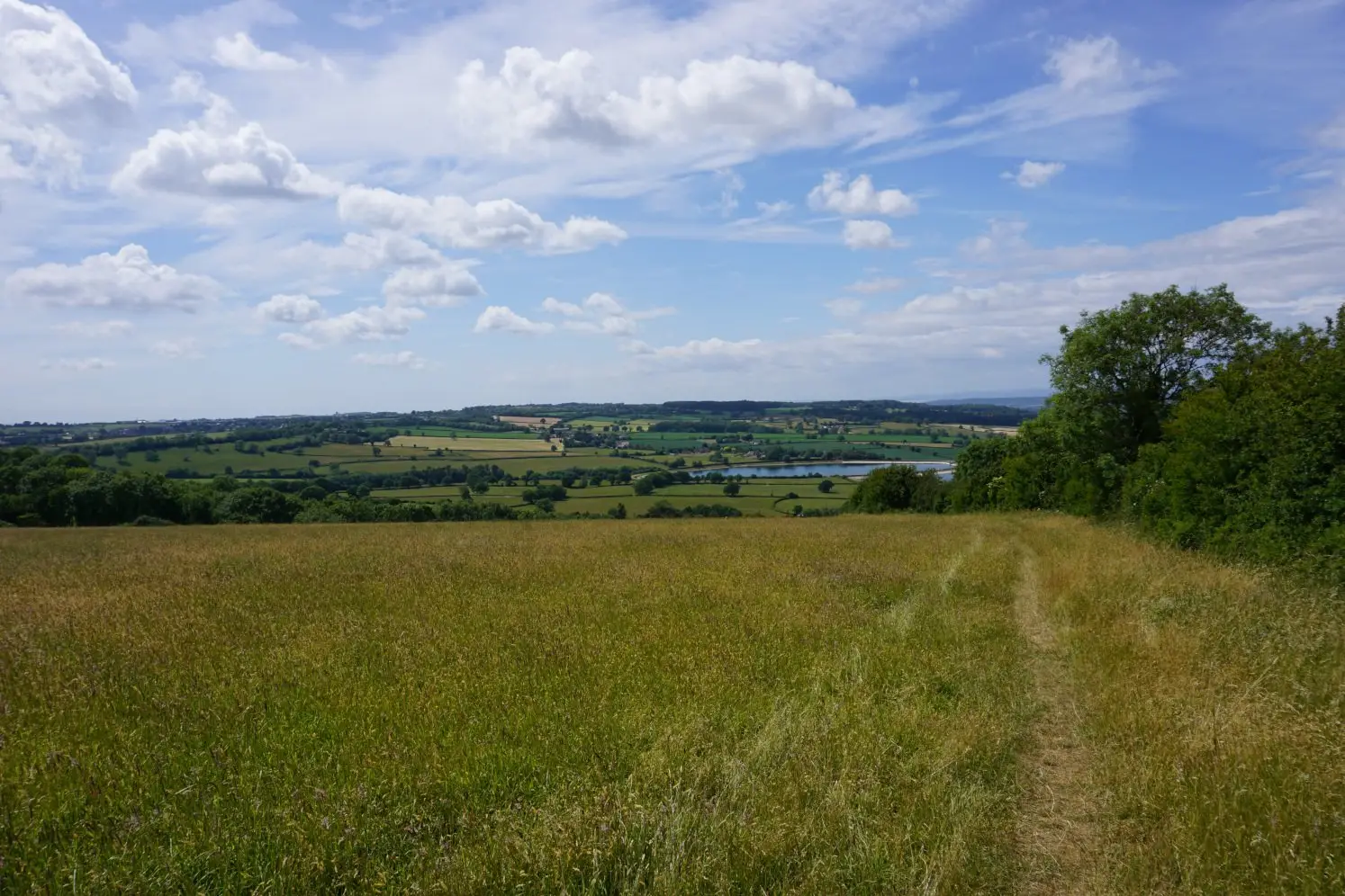Walking through a lush field with views of the Somerset Hills and reservoirs on the Dundry Hilltop walk