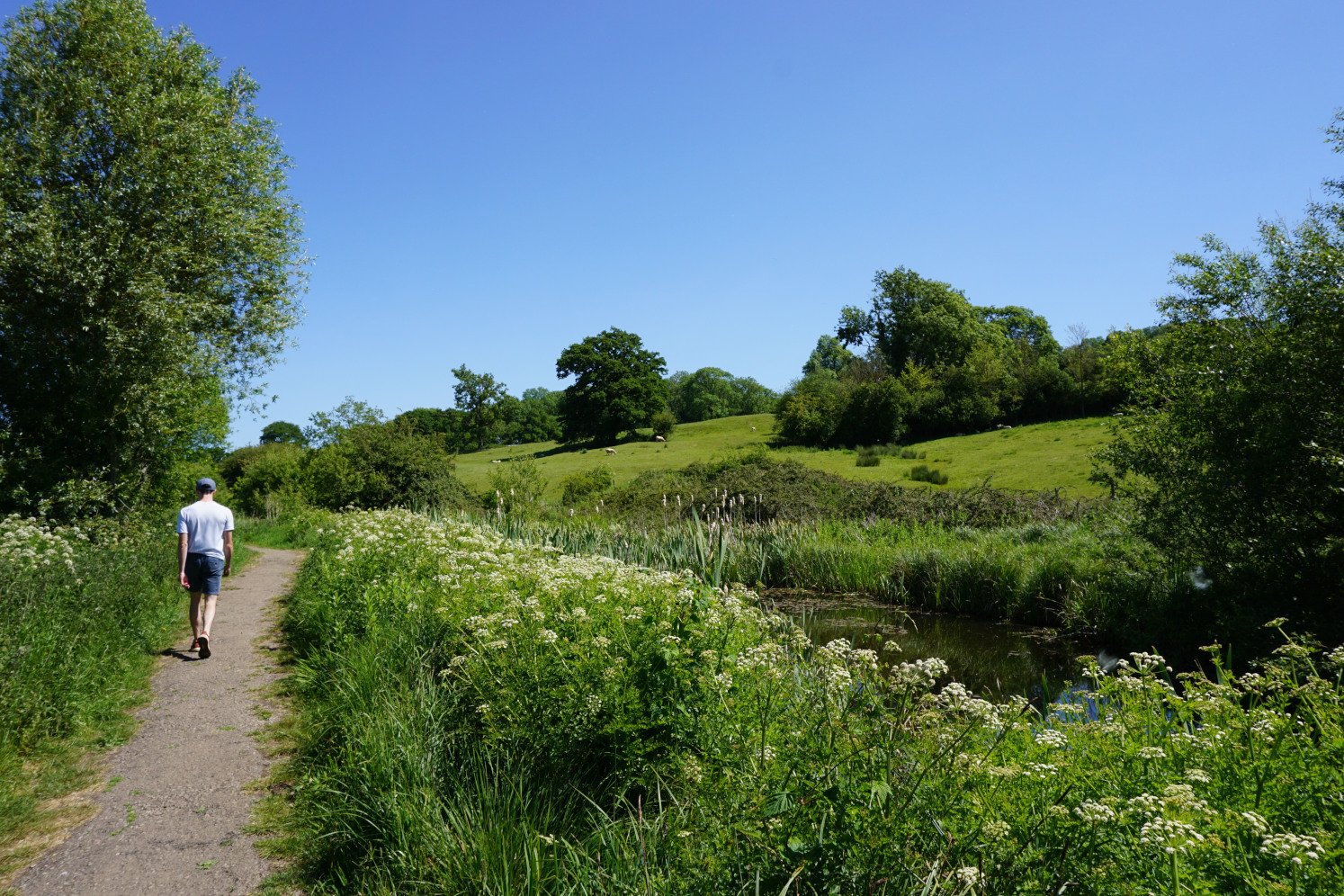 Walking along the Old Wicks & Berks Canal on the Bowden Hill walk near Lacock