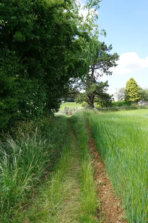 Country path and a quaint gate in Bisley