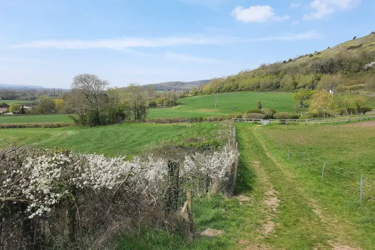 Fields outside Compton Bishop and at the foot of Crook Peak