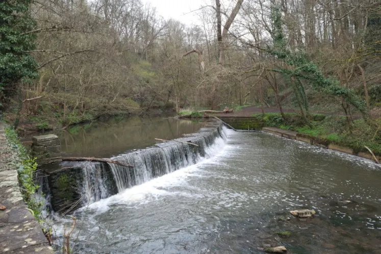 Best Bristol walk: River walk in Snuff Mills