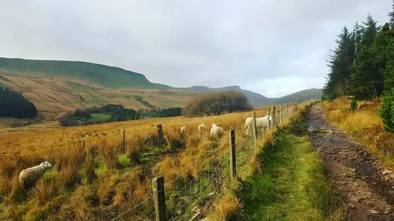 Roman road across the Neuadd Valley with views of the Brecon Beacons ridges and peaks