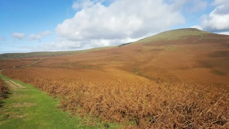 The cone shape of Sugar Loaf Mountain