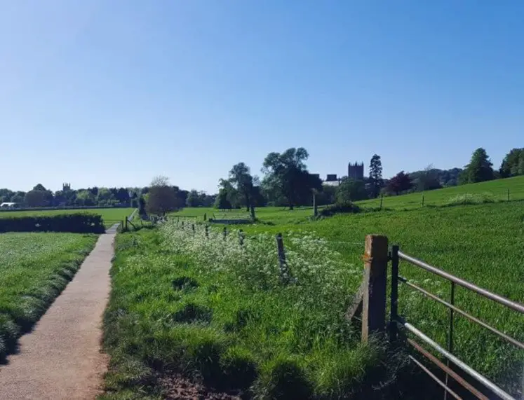 View of Wells Cathedral from the Palace Fields