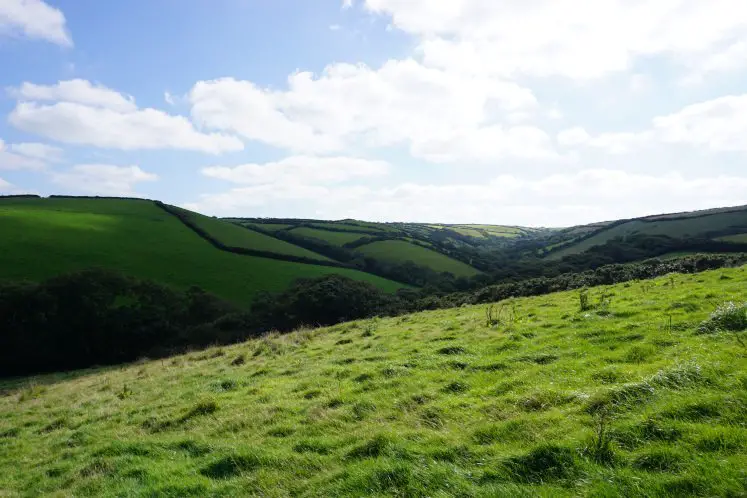 Verdant Ludon Valley on the Crackington Haven walk