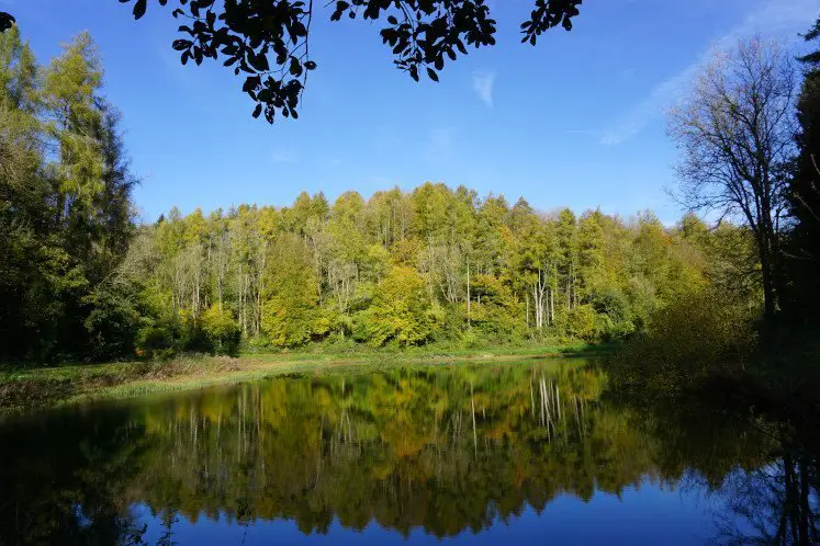 Colourful trees and a gleaming lake in Ozleworth Bottom in the Cotswolds