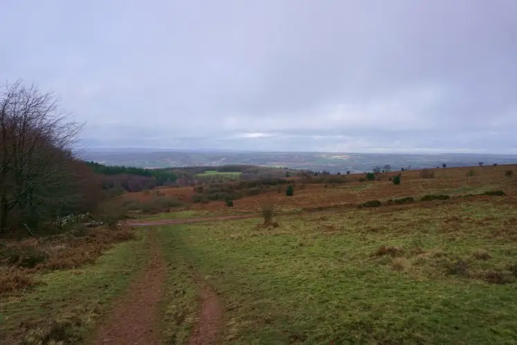 Views of the wood of Rowberrow Warren, the Somerset Levels and the Bristol Channel from Black Down