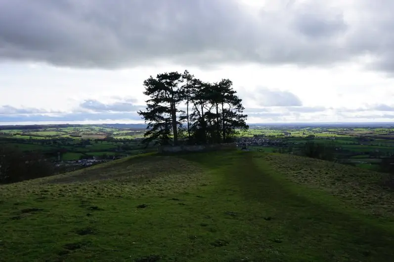 Wotton Hill and its emblematic cluster of pine trees