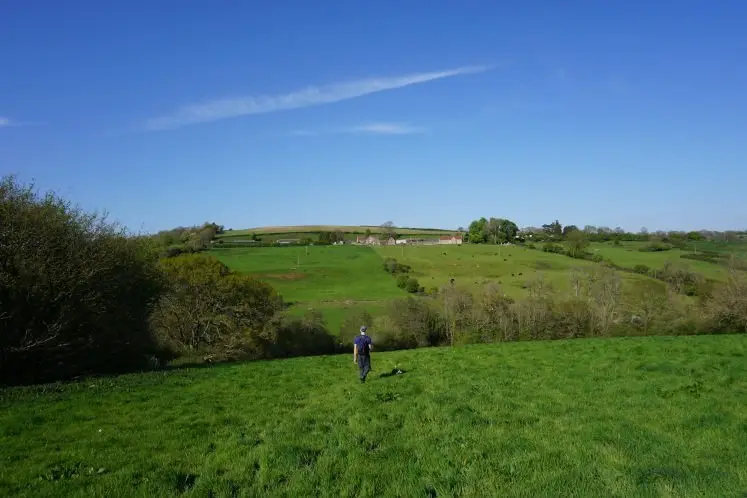 Man walking through a rolling field to the bottom of St Catherine's Valley