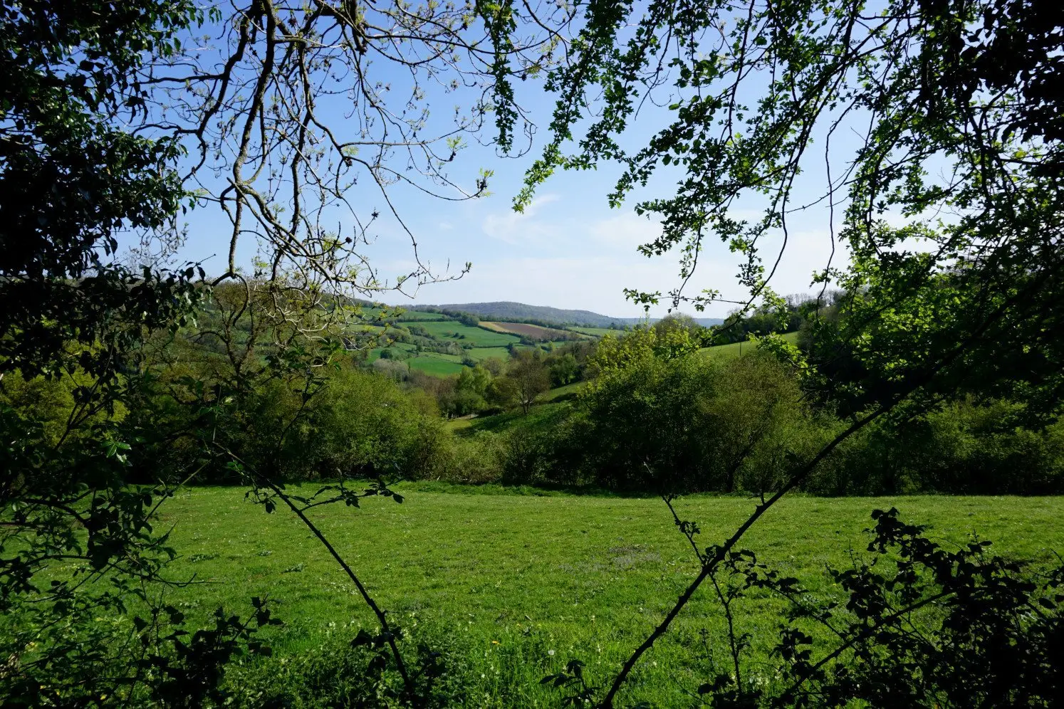 View of Cotswold hills and St Catherine's Valley near Bath
