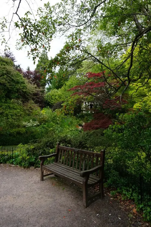 A bench and trees in Bath's Botanical Gardens in the Royal Victoria Park