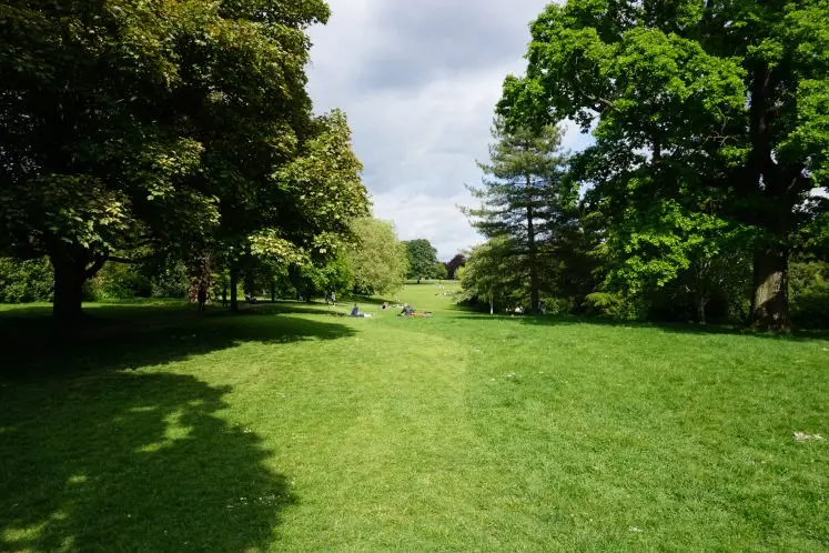 Trees, parkland and parkgoers in Bath's Royal Victoria Park