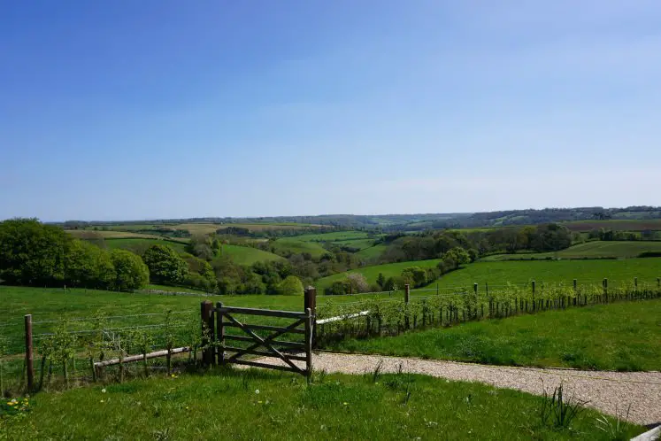 Views of St Catherine's Valley from Cold Ashton