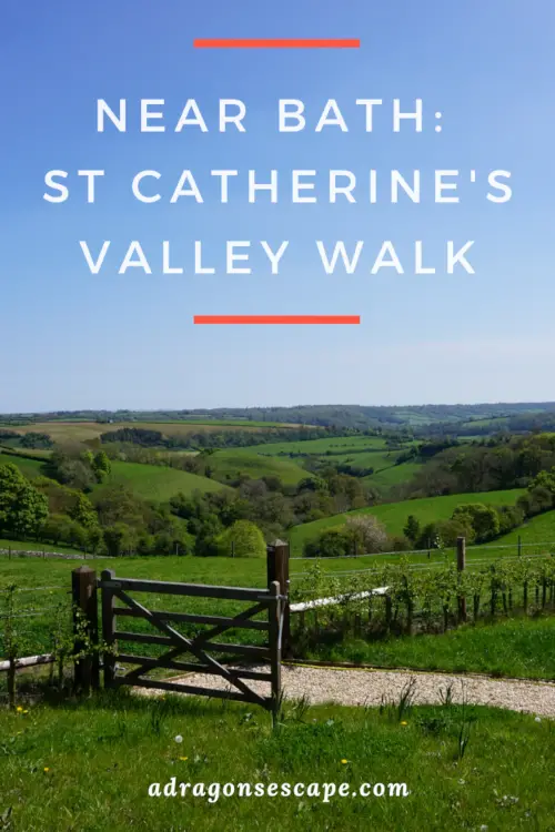 Near Bath: St Catherine's Valley walk pin