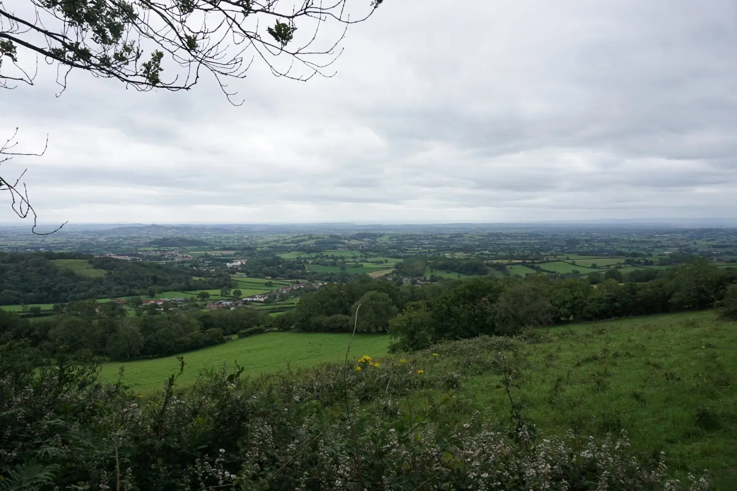 Views of the Somerset Levels on the Wookey Hole and Ebbor Gorge walk in the Mendip Hills