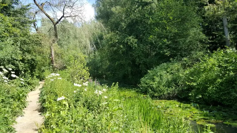 The River Avon meandering through the Conygre Mead nature researve in Malmesbury