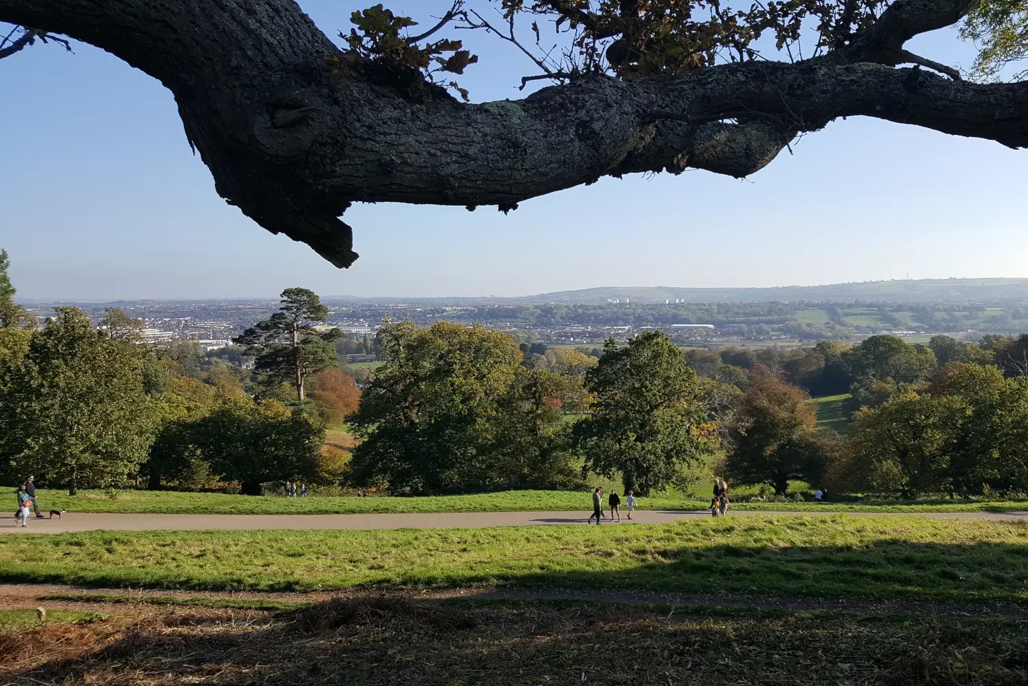 Best Bristol walk: View of Bristol from Ashton Court