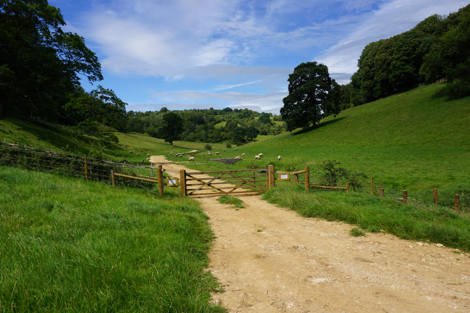 Exploring the peaceful valleys of Ozleworth and Lasborough on the guided walk by A Dragon's Escape