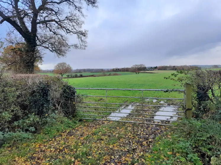 Lovely country views on the Luckington to Sherston walk