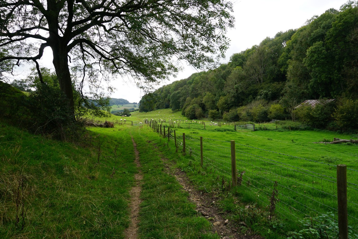 Walking along a country lane on the Alderley & Tresham walk in the Cotswolds