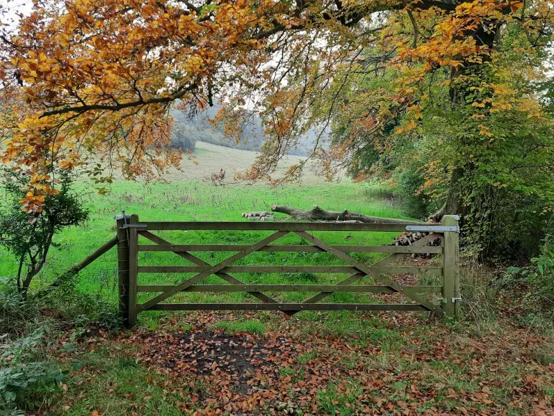 Wooden gate and golden leaves on the Painswick Beacon to Coopers Hill walk in the Cotswolds