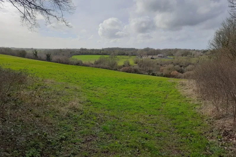 Views of a Cotswold valley in the Castle Combe & Nettleton Mill walk