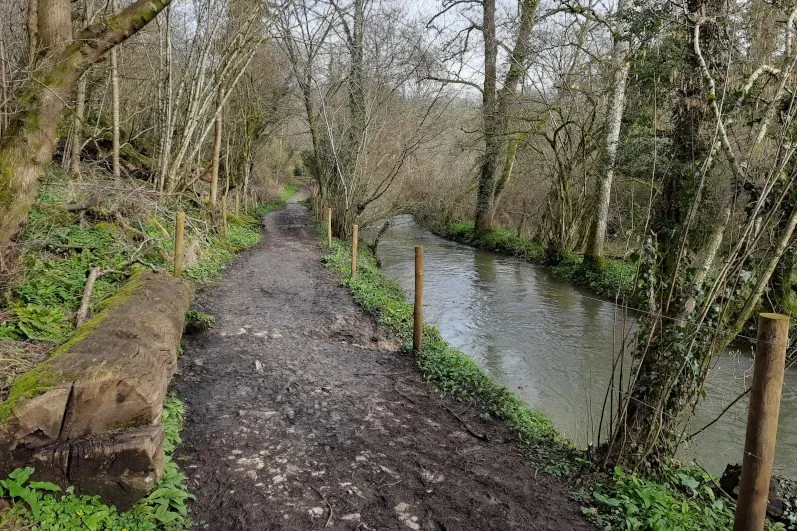 Woodland path by the By Brook stream in the Castle Combe & Nettleton Mill walk